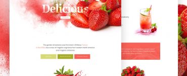Single Product Website Template PSD