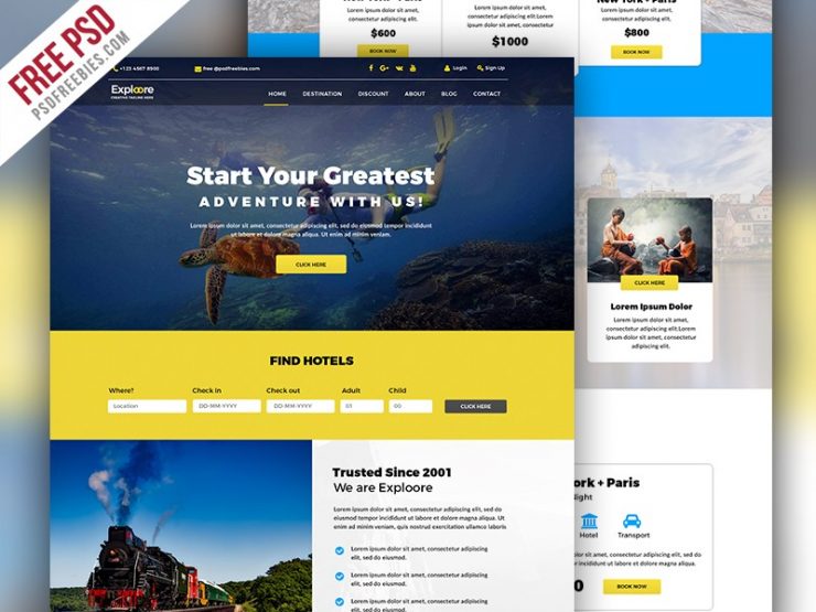Tour and Travel Booking Website Template PSD