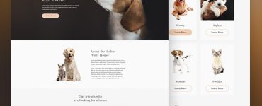 Animal Shelter Website Template PSD