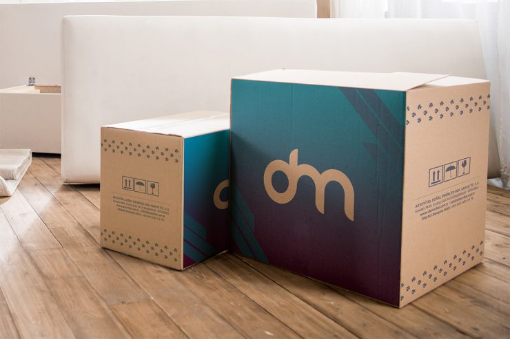 Cardboard Carton Box Mockup