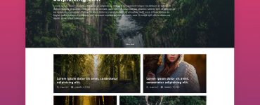 Download Agency Website Template Free PSD