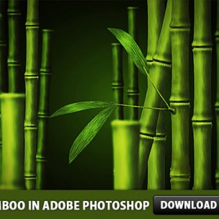 Free Bamboo PSD made in Adobe Photoshop