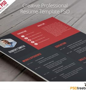 Creative Professional Resume Template Free PSD