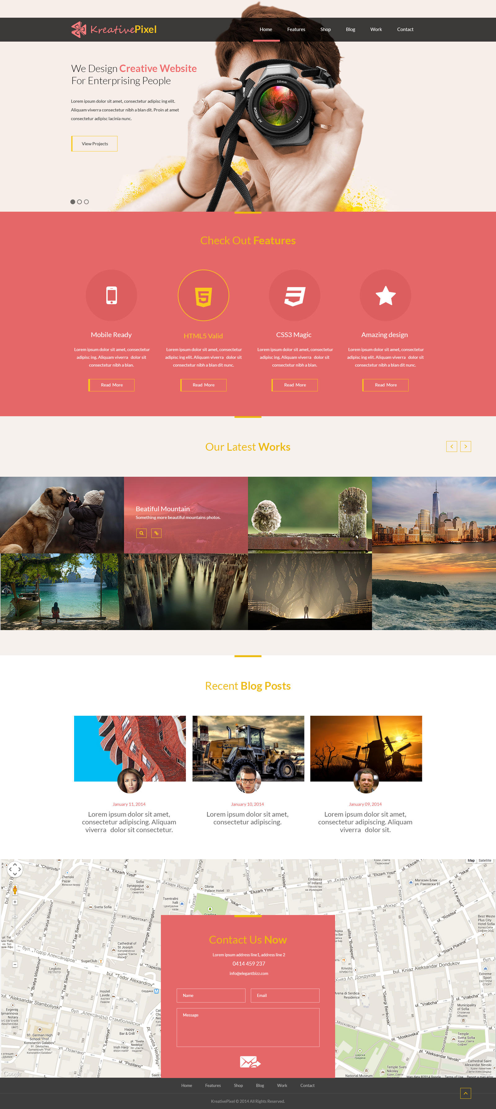 about us template for website