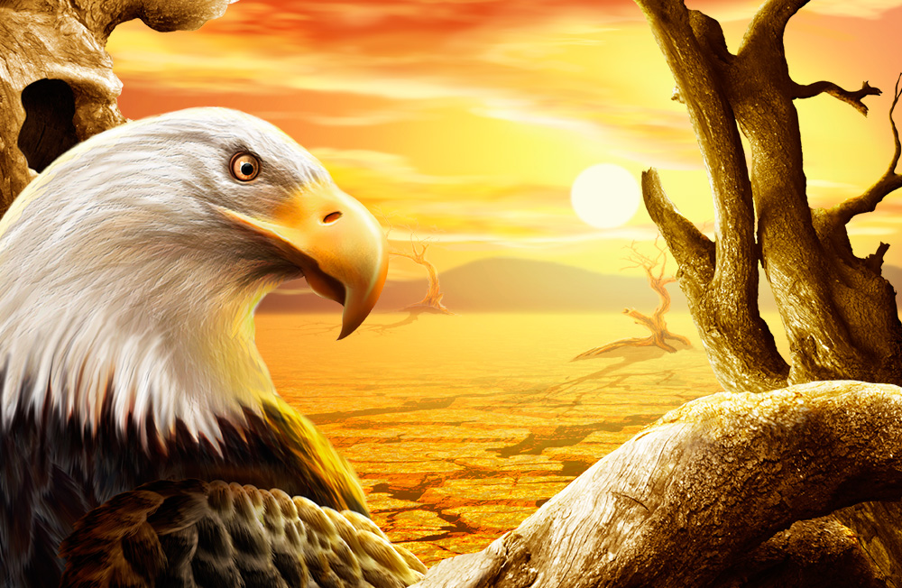 cool desert eagle wallpaper