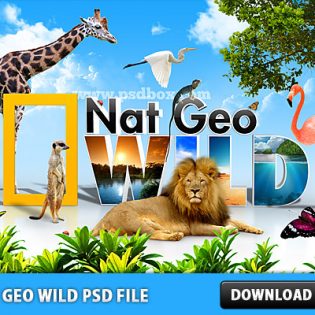 Nat Geo Wild Free PSD File