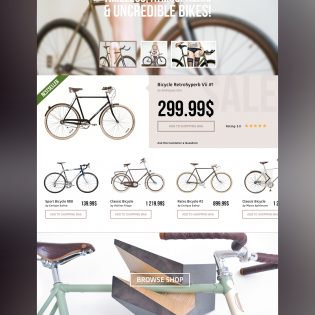 PSD Template for Bike Store