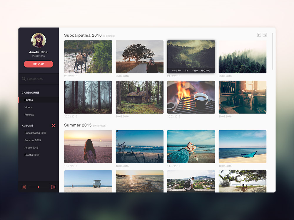 Photo Gallery Website Application Template Free PSD Download PSD