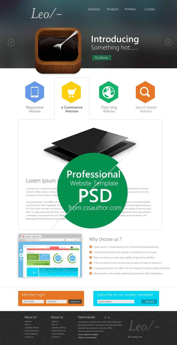 Leo Website Design Template PSD Download PSD