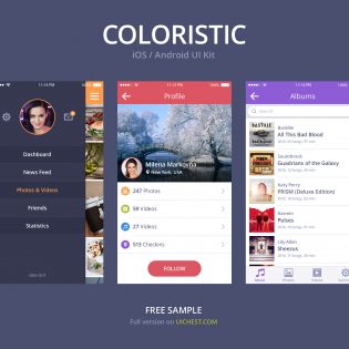 Simple Colorful iOS Android UI Kit PSD