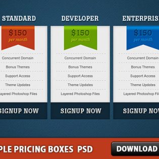 Simple Pricing Boxes Free PSD