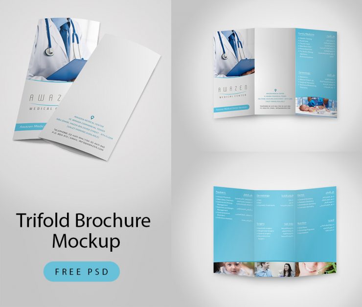 Trifold Brochure Mockup Free PSD