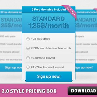 Web 2.0 style pricing box PSD