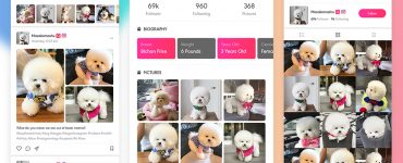Social Photo Sharing App Free PSD
