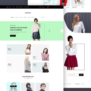Modern Fashion Store Website Template PSD