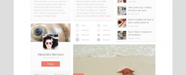 Mini Web UI Kit Free PSD