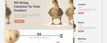 Creative Business Website Template Free PSD