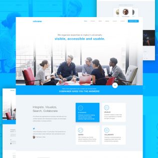 Professional Company Website Template Free PSD