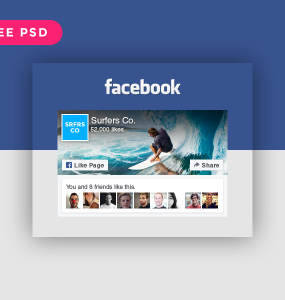 Facebook Like Box Widget Free PSD