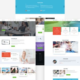 Business Consultancy Website Templates Free PSD
