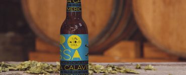 Beer Bottle Mockup Free PSD