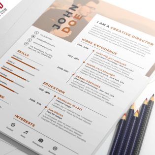 Nice and Clean Resume CV PSD Template